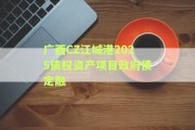 广西CZ江城港2025债权资产项目政府债定融