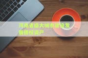 河南省盛大城市建设发展债权资产
