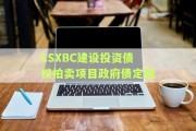 LSXBC建设投资债权拍卖项目政府债定融