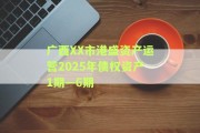 广西XX市港盛资产运营2025年债权资产1期—6期