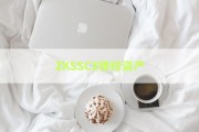 ZKSSCX债权资产