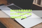 湖北XX市国通投资2025年债权资产转让1期政府债定融