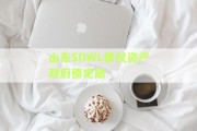山东SDWL债权资产政府债定融