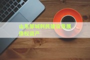 山东邹城利民建设发展债权资产