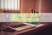 山东枣庄老C工业资产运营财产权信托六期