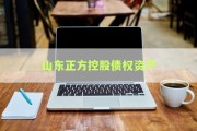 山东正方控股债权资产