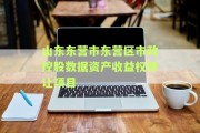 山东东营市东营区市政控股数据资产收益权转让项目