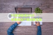 YC财源投资2025年债权资产政府债定融