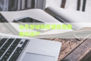 山东邹城利民建设发展债权资产