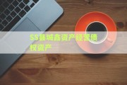 SS县城鑫资产经营债权资产