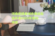 河南武陟县城市建设投资开发2025年债权项目