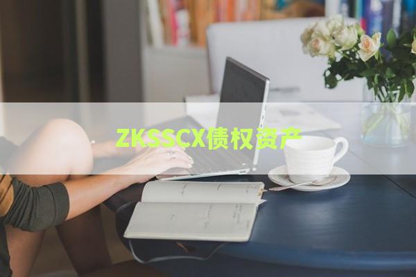 ZKSSCX债权资产