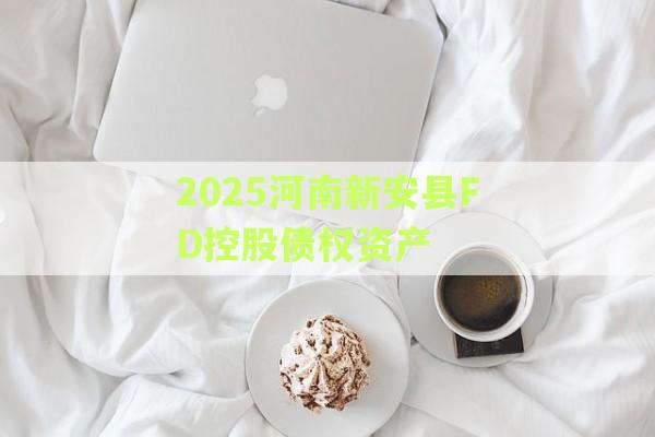 2025河南新安县FD控股债权资产