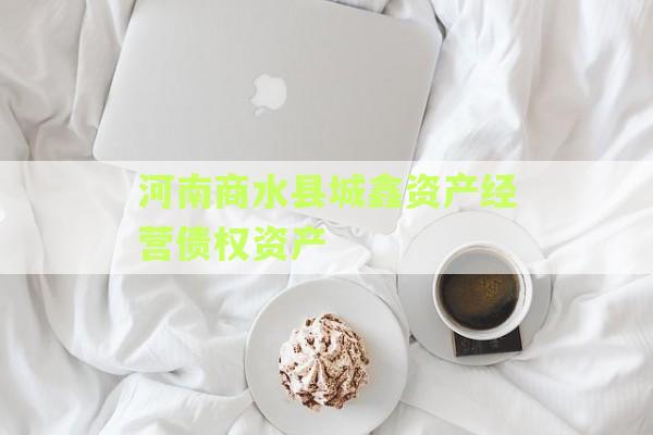 河南商水县城鑫资产经营债权资产