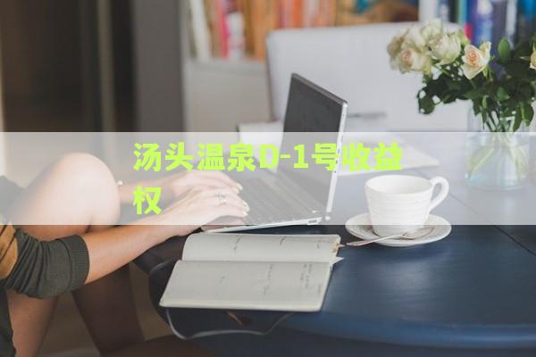 汤头温泉D-1号收益权