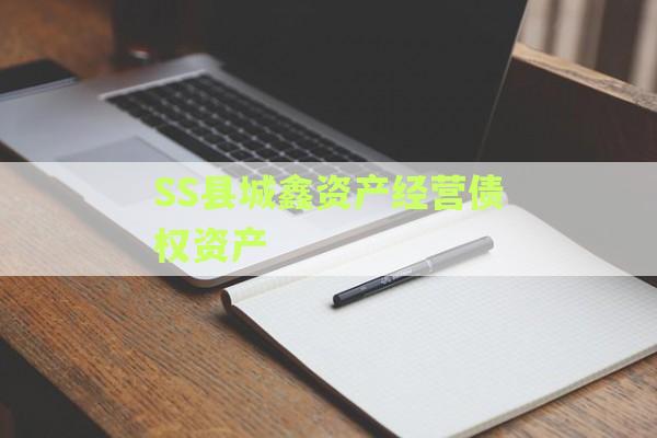SS县城鑫资产经营债权资产