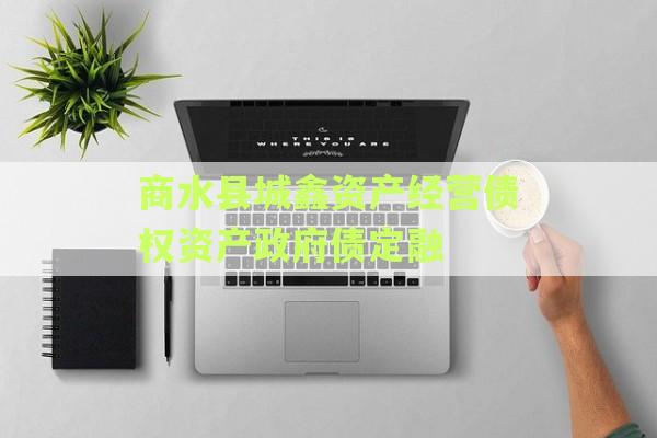 商水县城鑫资产经营债权资产政府债定融