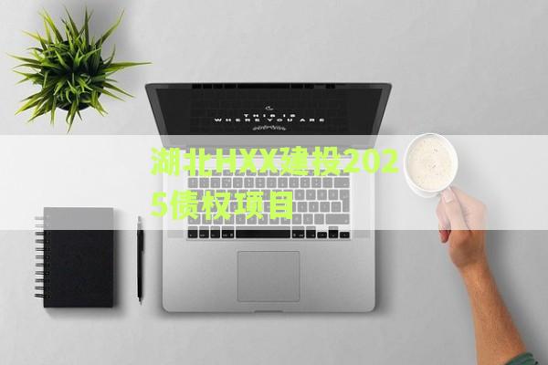 湖北HXX建投2025债权项目