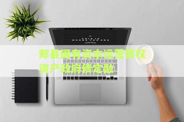 郏县国有资本运营债权资产政府债定融