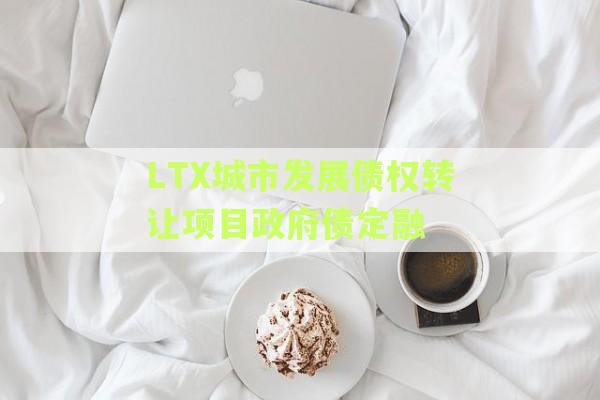 LTX城市发展债权转让项目政府债定融