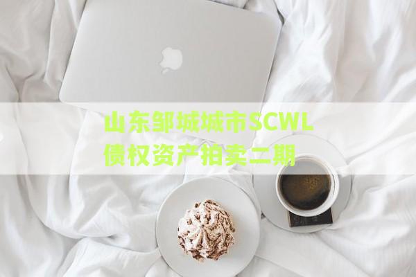 山东邹城城市SCWL债权资产拍卖二期