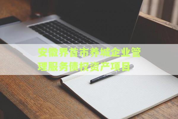 安徽界首市养城企业管理服务债权资产项目