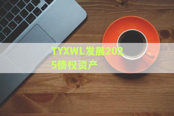 TYXWL发展2025债权资产