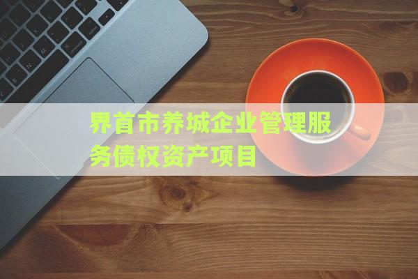 界首市养城企业管理服务债权资产项目