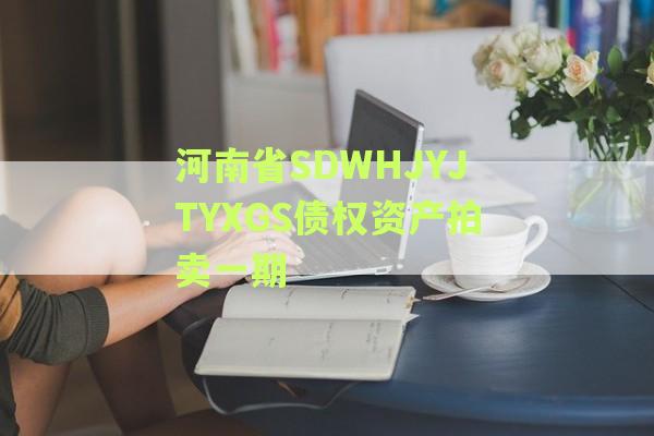 河南省SDWHJYJTYXGS债权资产拍卖一期