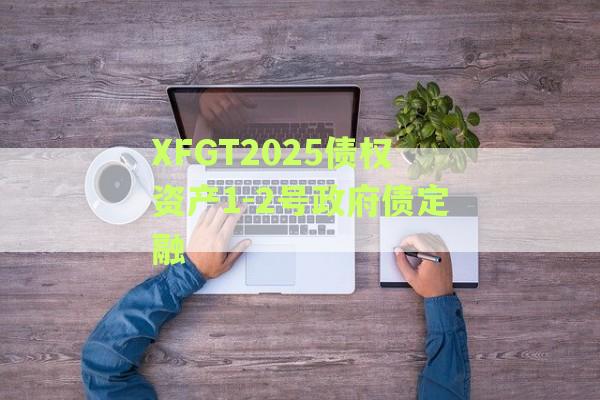 XFGT2025债权资产1-2号政府债定融