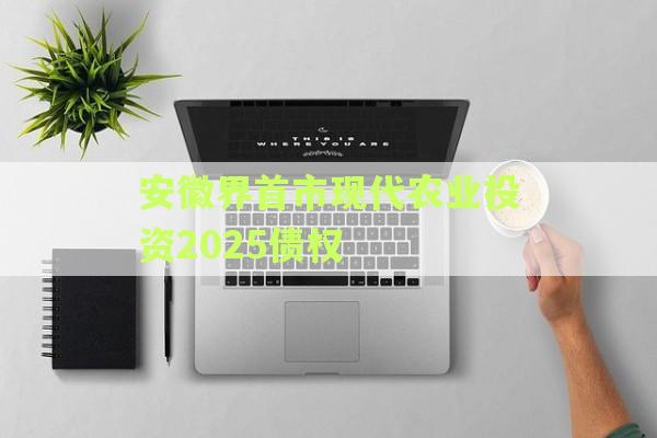 安徽界首市现代农业投资2025债权