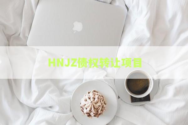 HNJZ债权转让项目