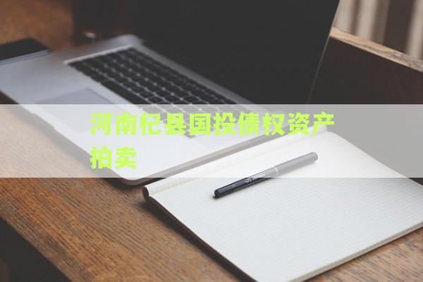 河南杞县国投债权资产拍卖