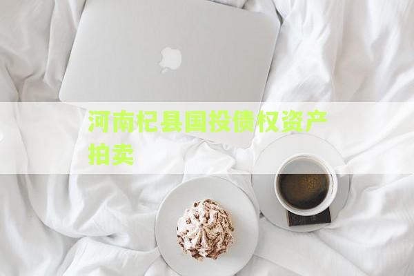 河南杞县国投债权资产拍卖